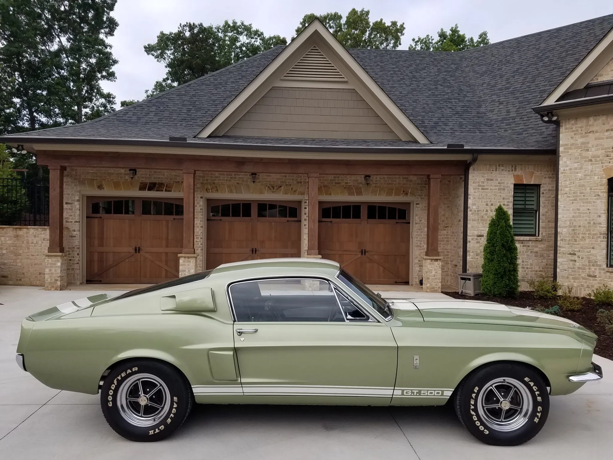 1967 Shelby Mustang GT500