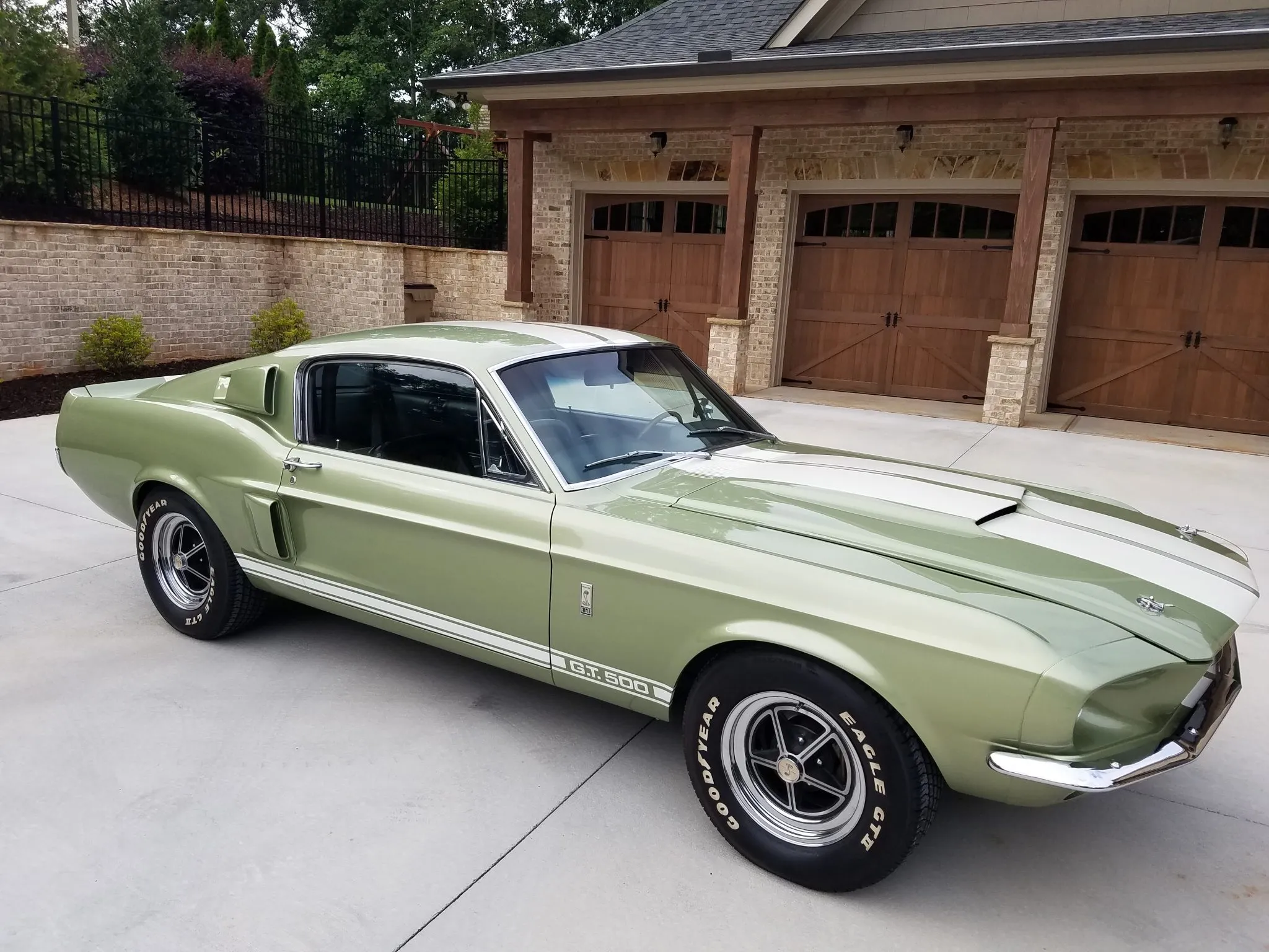 1967 Shelby Mustang GT500