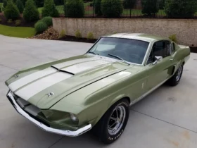 1967 Shelby Mustang GT500