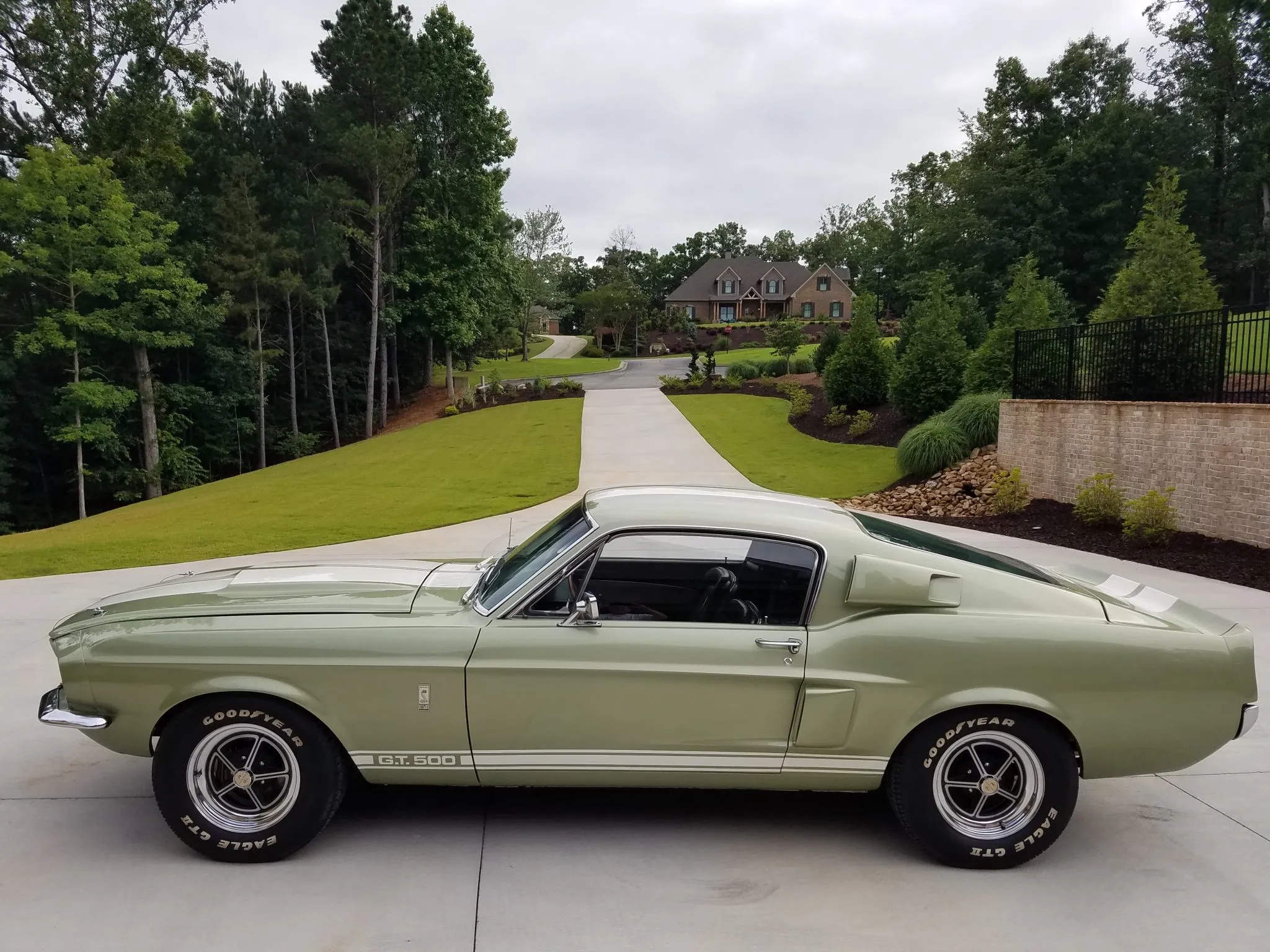 1967 Shelby Mustang GT500