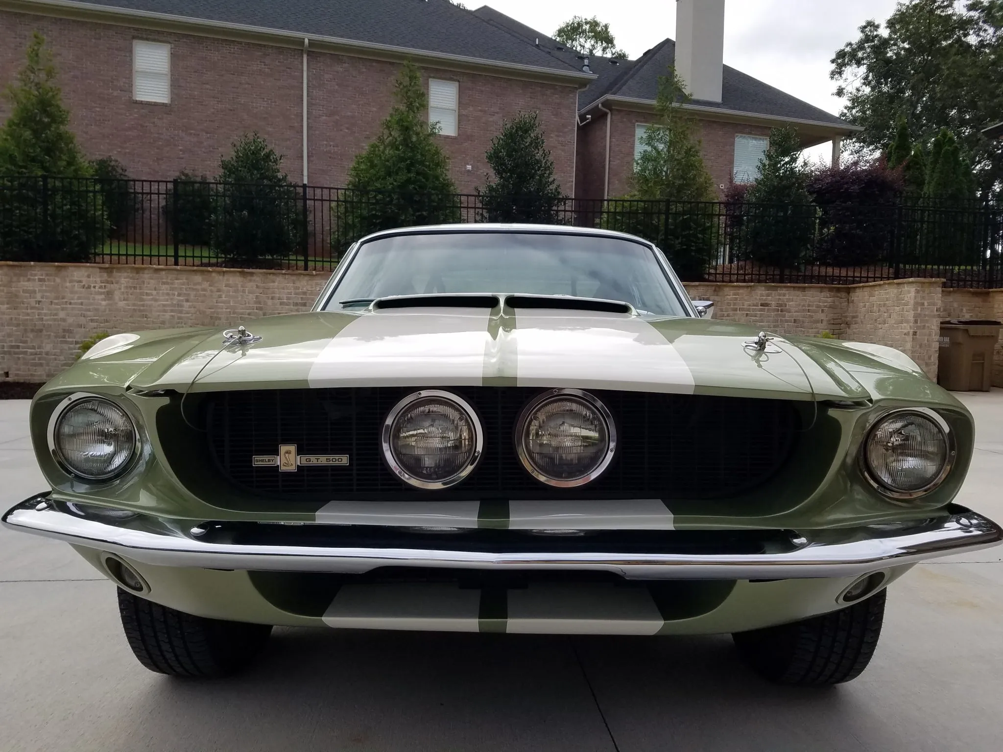 1967 Shelby Mustang GT500