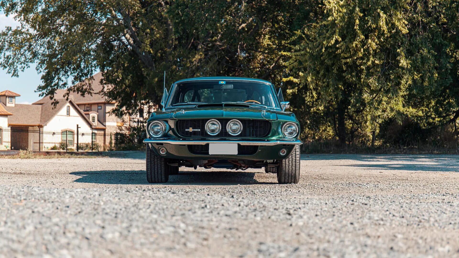 1967 Shelby Mustang GT350