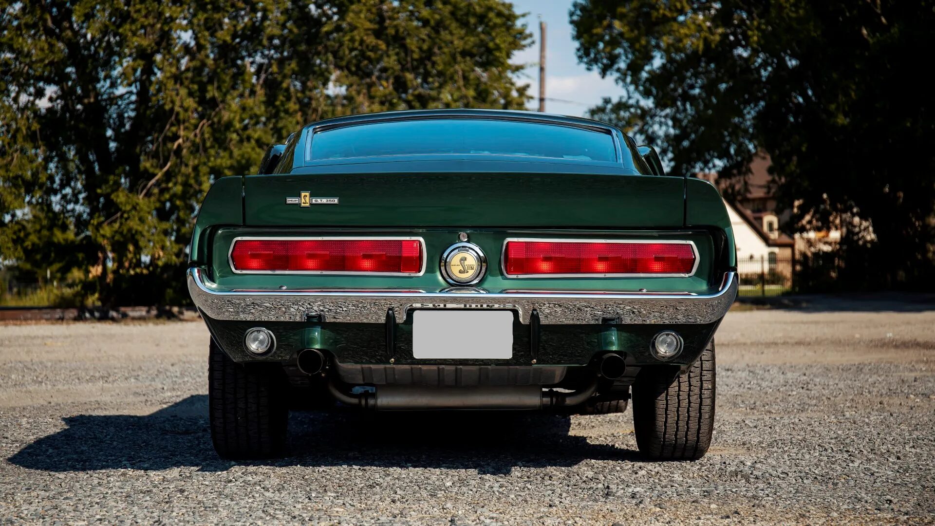 1967 Shelby Mustang GT350
