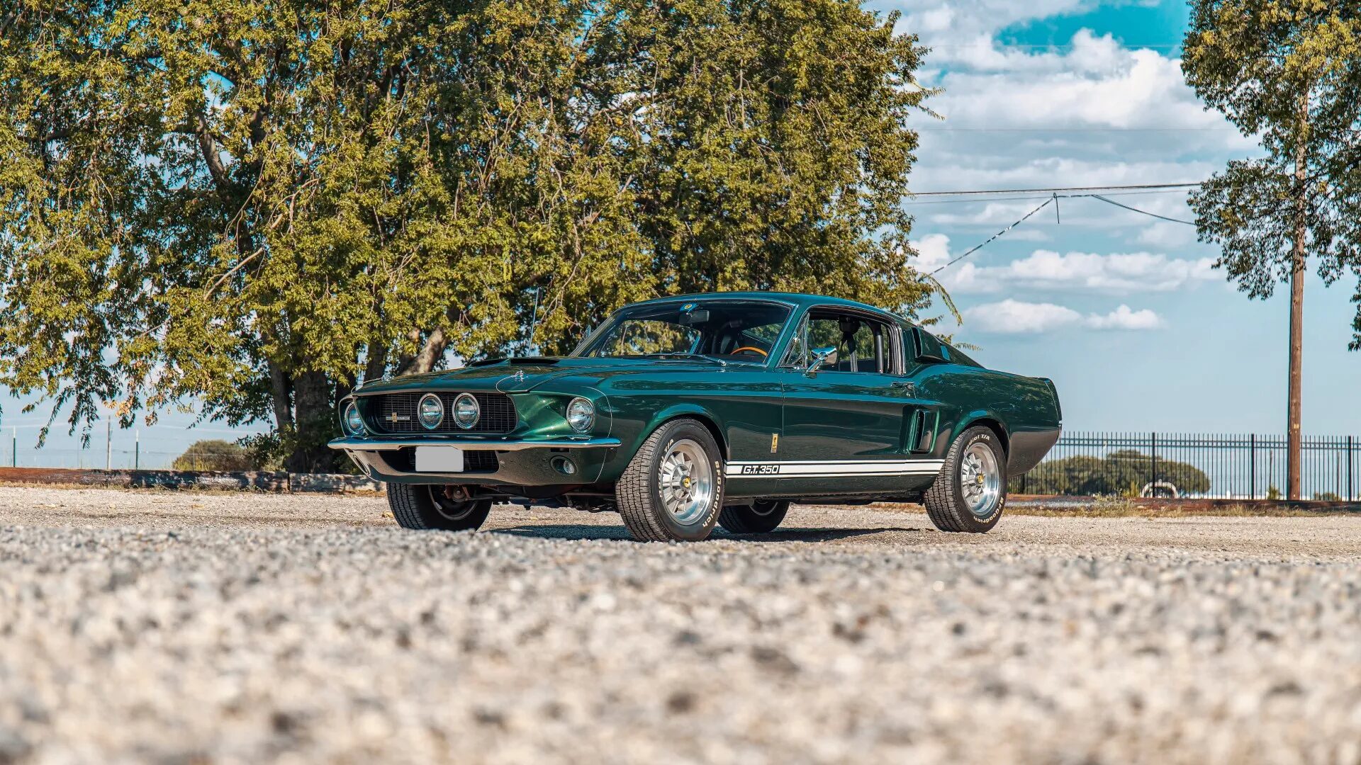 1967 Shelby Mustang GT350