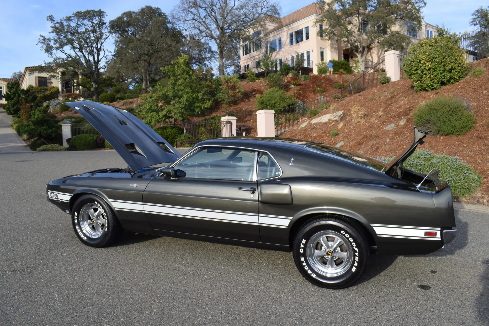 1969 Shelby Mustang GT500