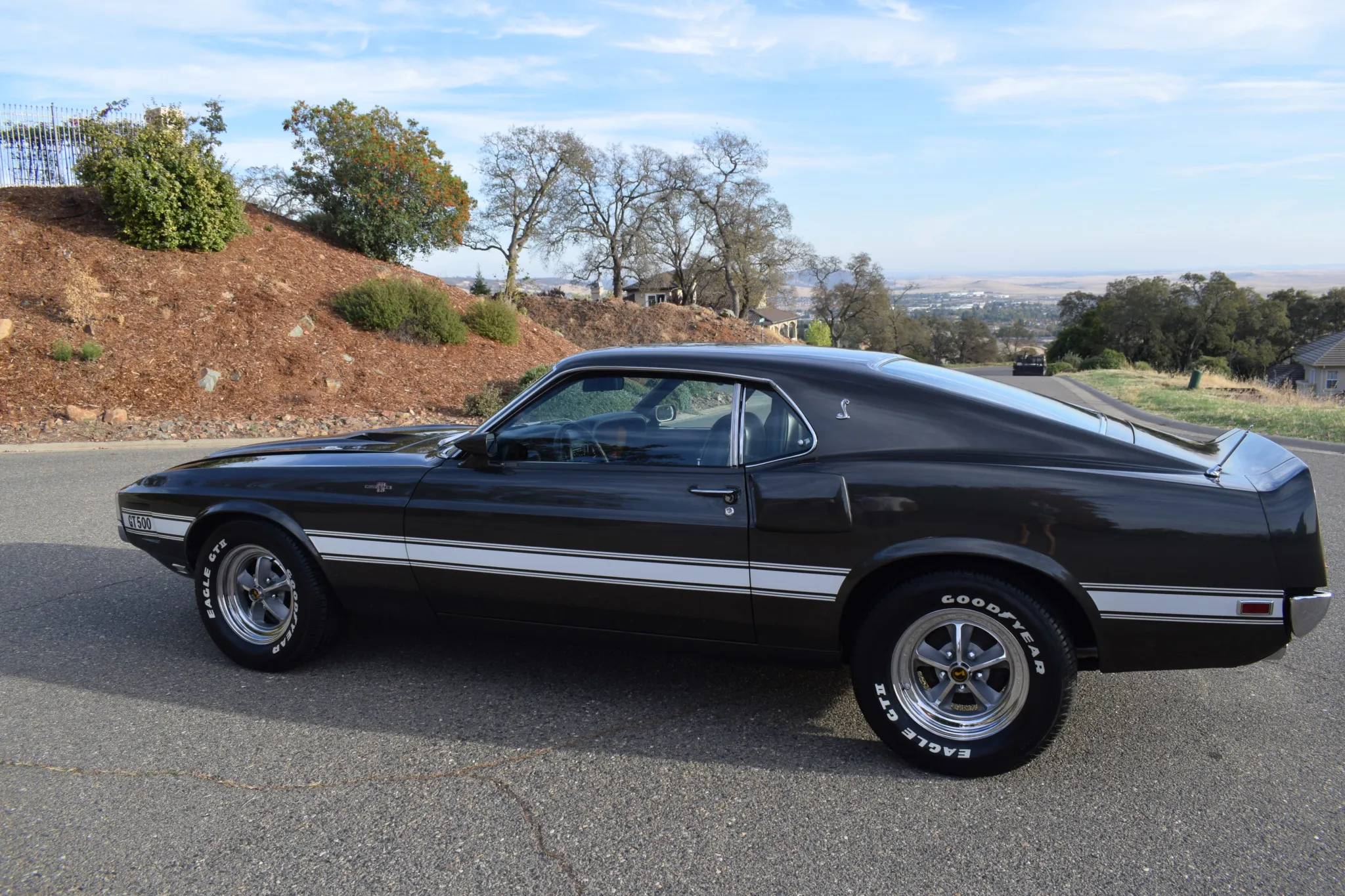 1969 Shelby Mustang GT500