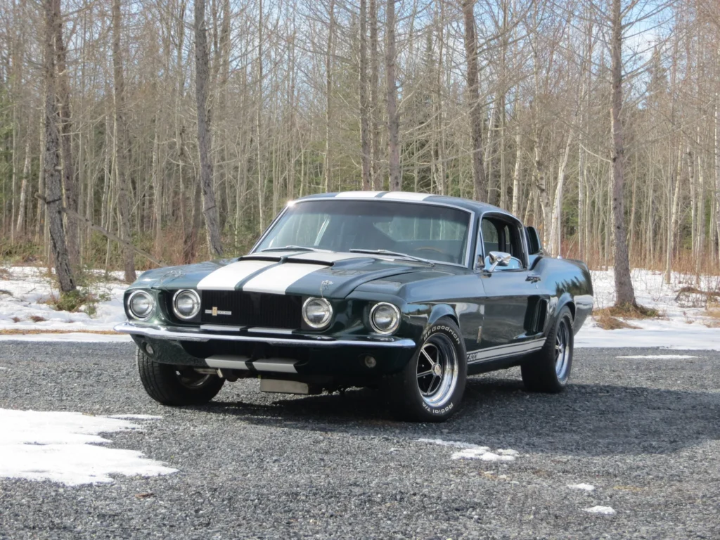 1967 Shelby Mustang GT500