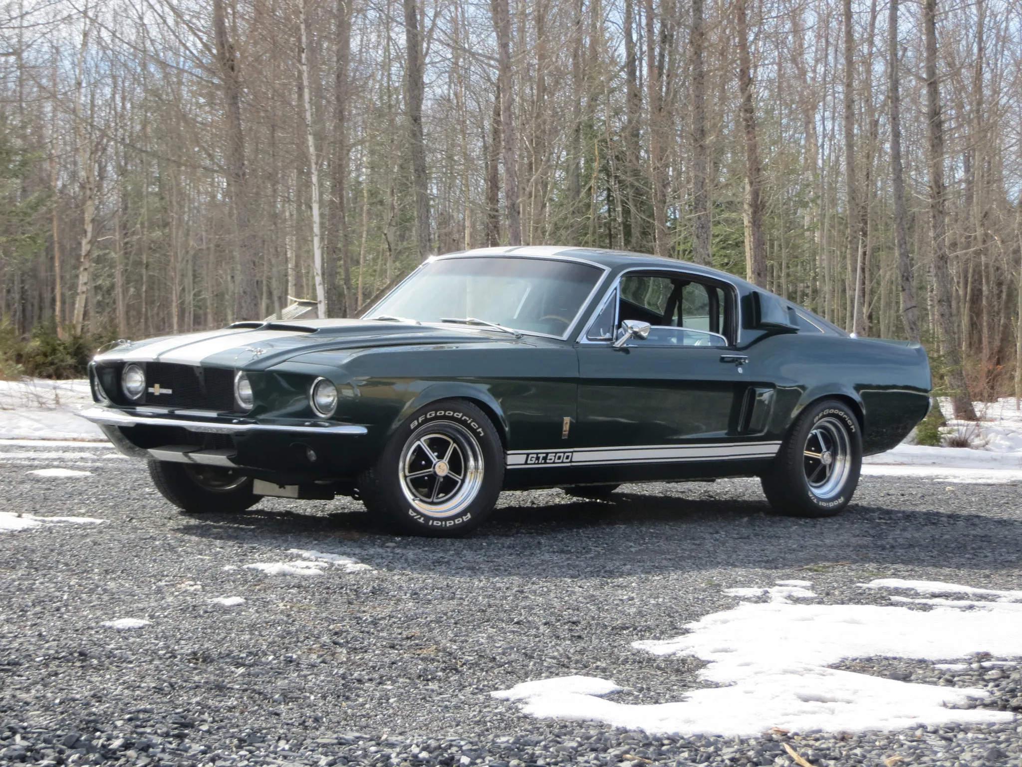 1967 Shelby Mustang GT500