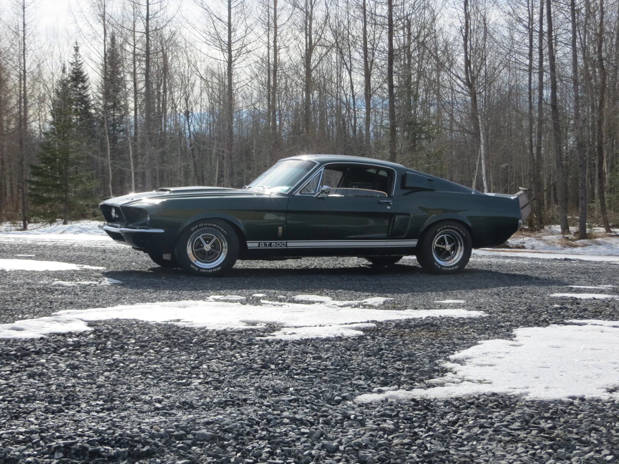 1967 Shelby Mustang GT500