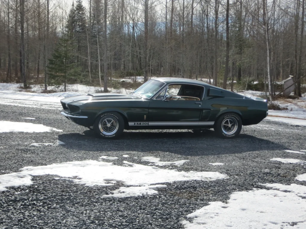 1967 Shelby Mustang GT500