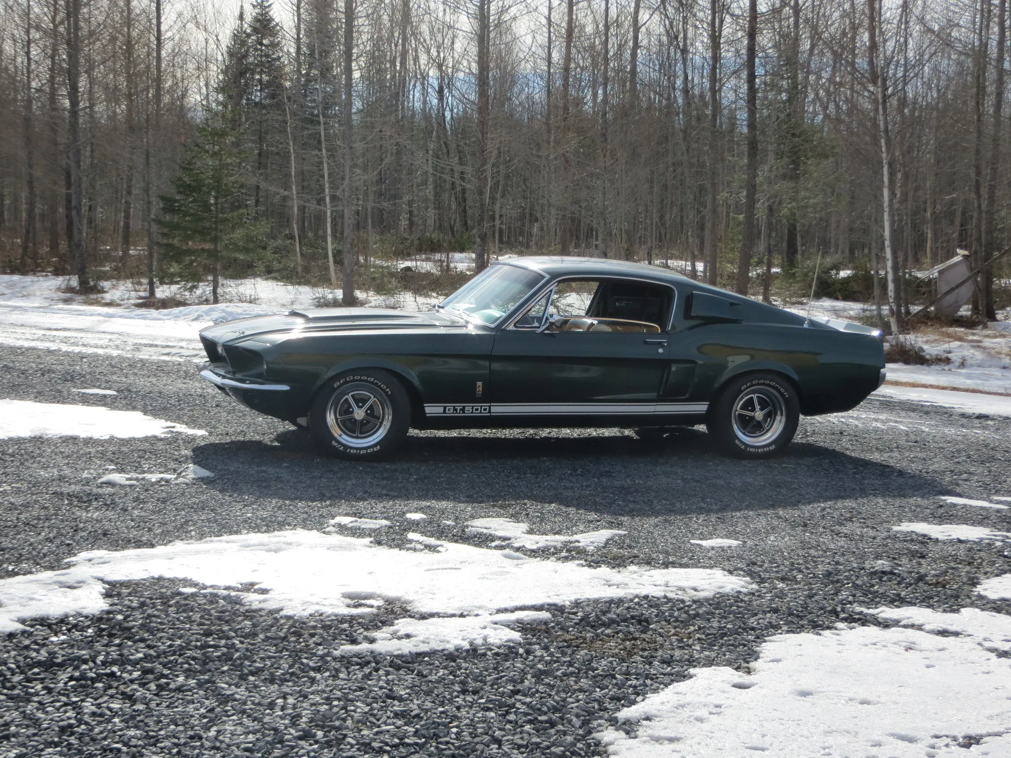 1967 Shelby Mustang GT500
