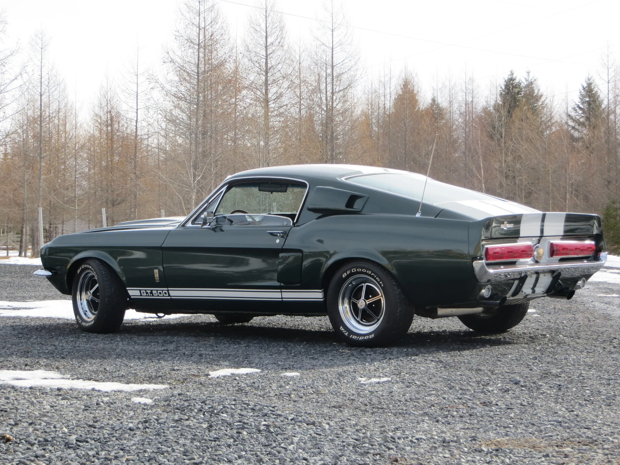 1967 Shelby Mustang GT500