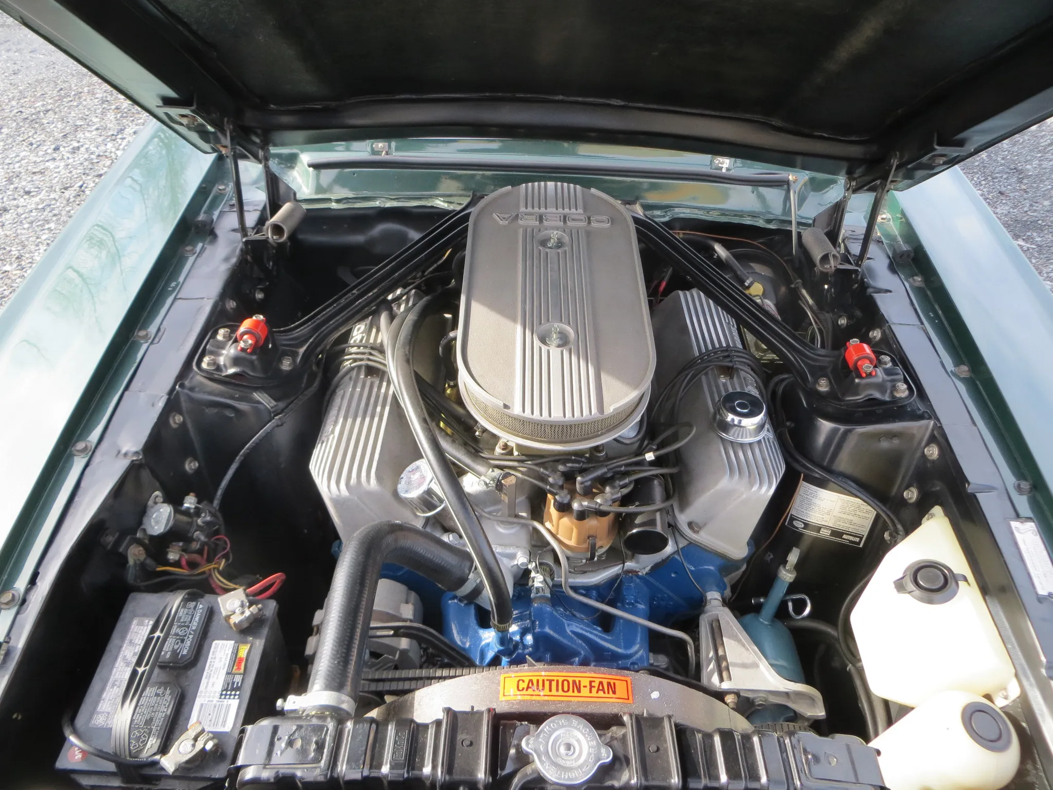 1967 Shelby Mustang GT500