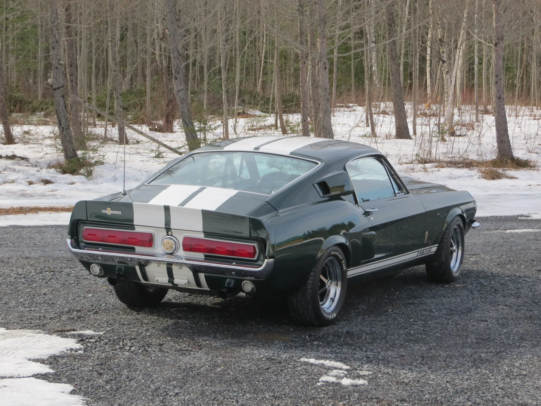1967 Shelby Mustang GT500