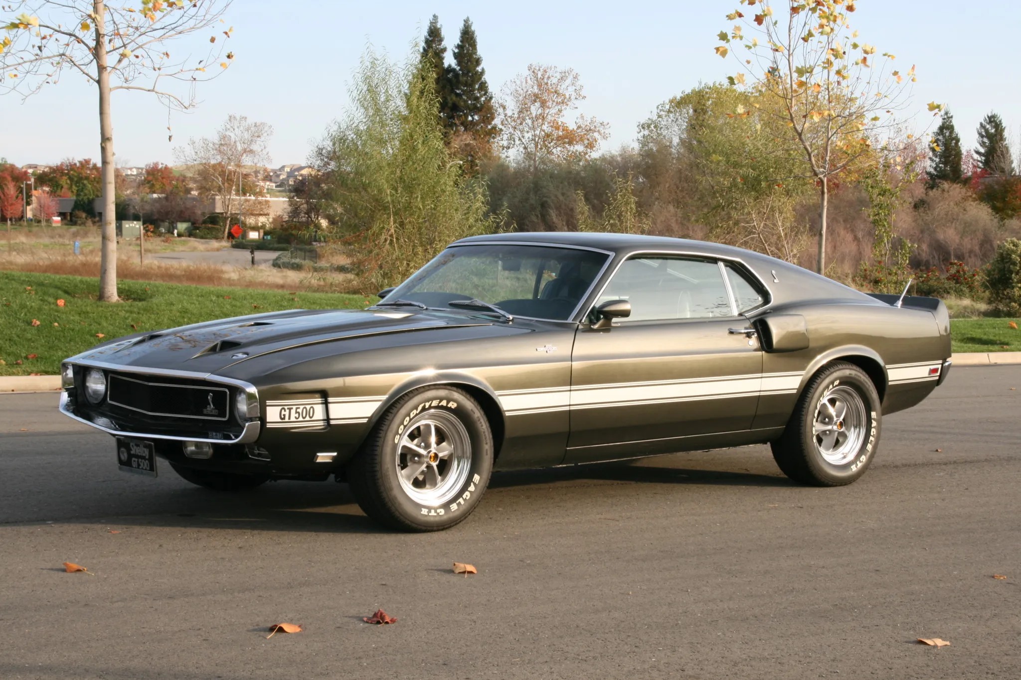 1969 Shelby Mustang GT500