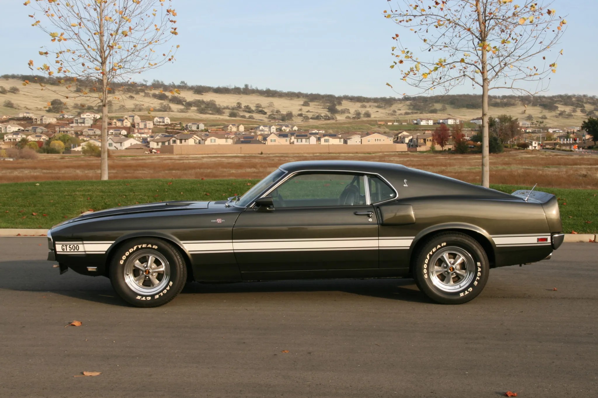 1969 Shelby Mustang GT500