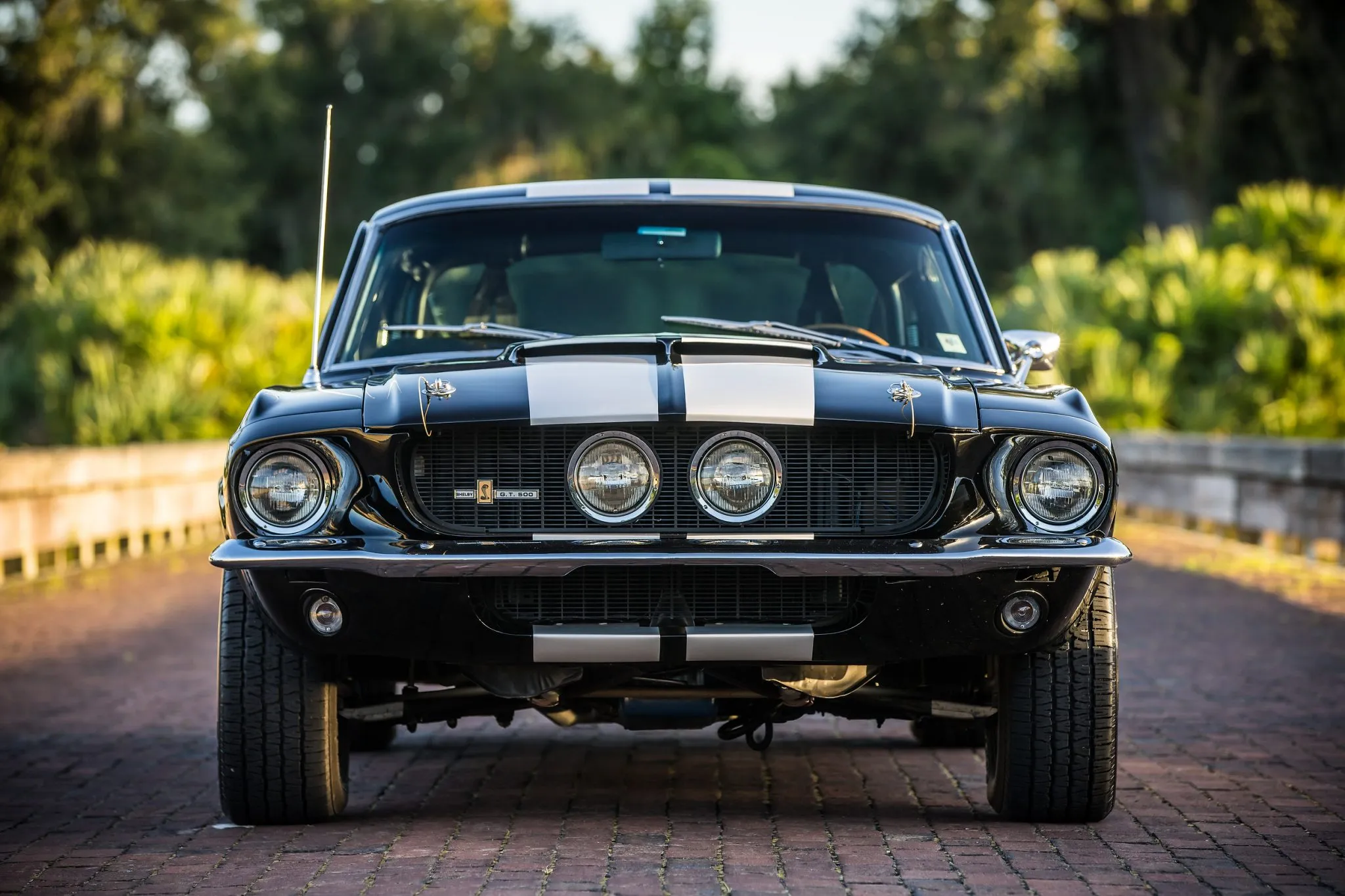 1967 Shelby Mustang GT500