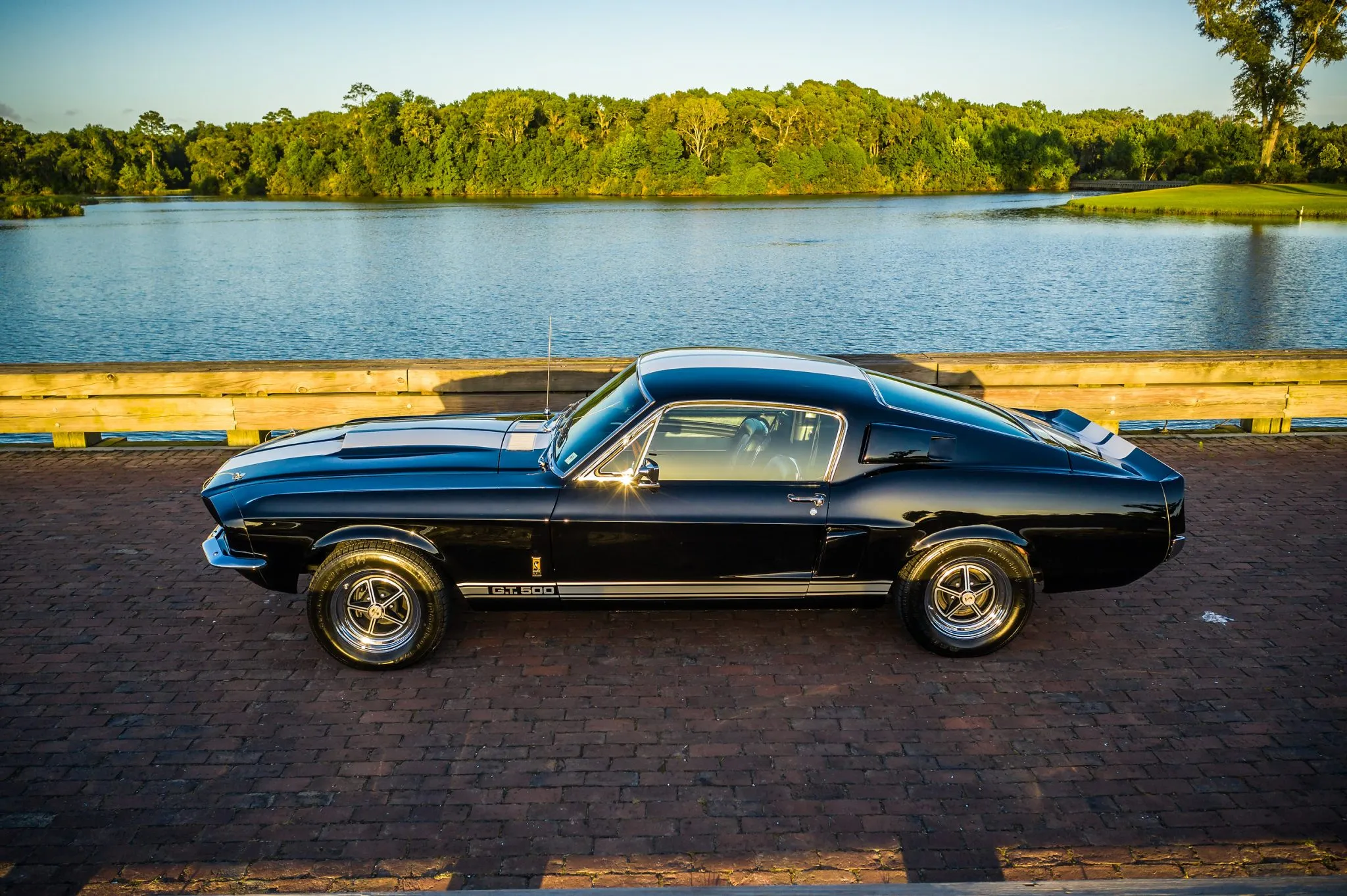 1967 Shelby Mustang GT500