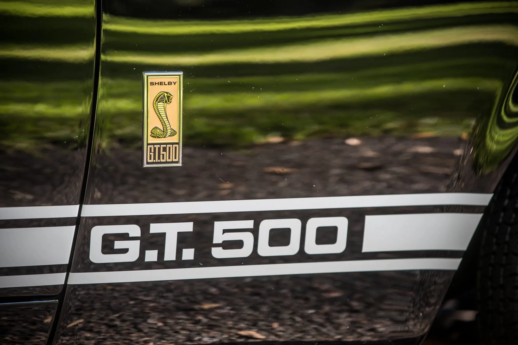1967 Shelby Mustang GT500